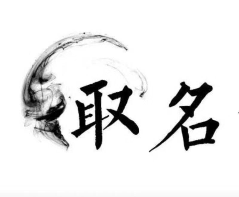  开原宝宝取名 大师一对一人工起名